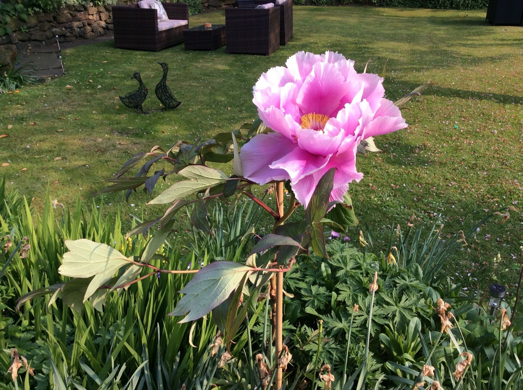 Willow Cottage B&B 예던 외부 사진